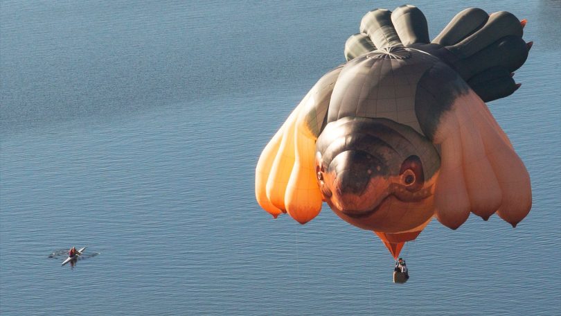 Skywhale