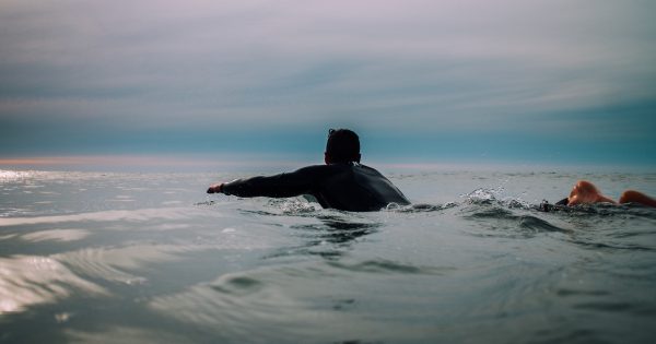 Ten sharks seen swimming beneath surfers at North Broulee Beach