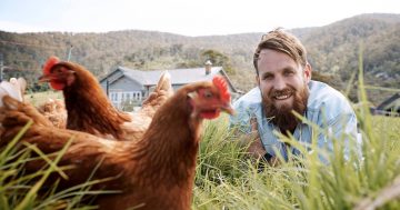 What happened to Paul West and the River Cottage?