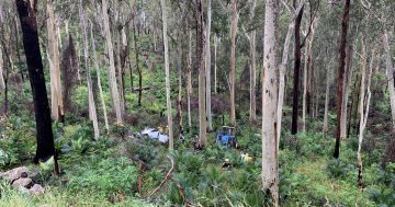 'People are dying': Fatal crash reignites calls to fix Clyde Mountain mobile black spot