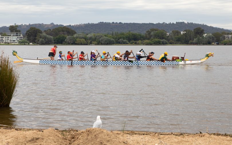 Dragon boat on the lake 