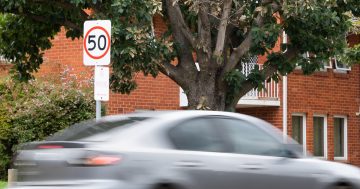 Suburban streets a boon for hoons disobeying speed limits