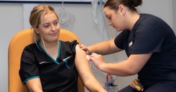 Multicultural communities express concerns about accessing vaccination information