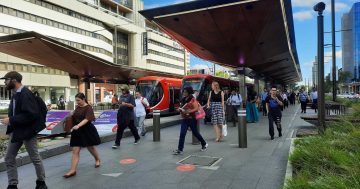 Light rail patronage rebounding after COVID-19 hit