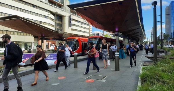 Commonwealth backs light rail Stage 2B with funding for new vehicles