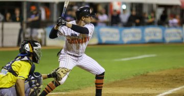 Cavalry's new owners step up to plate and pledge fresh start for Canberra baseball