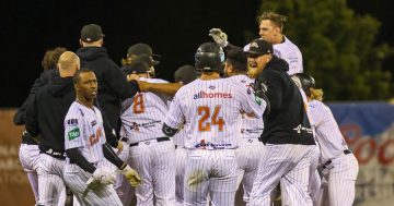 Cav's comeback helps crack a spot in ABL playoffs