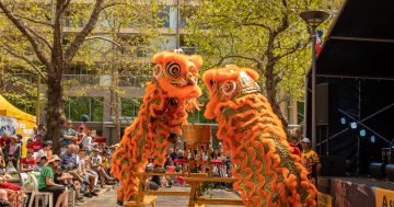 Lunar New Year feast of the senses at Republic Precinct