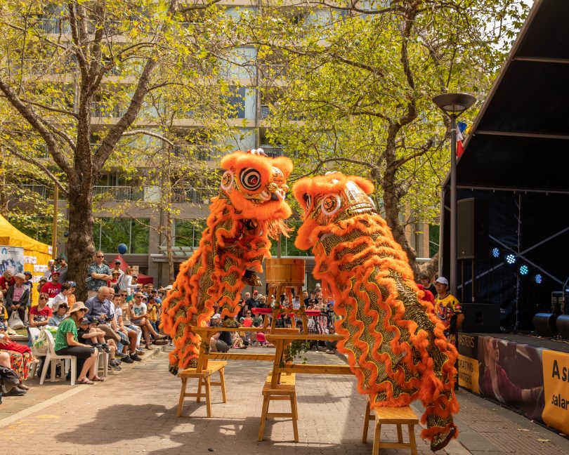 Mountain dragon and lion dance