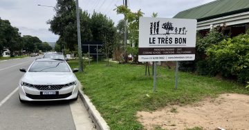 French for a day: eating snails and driving a Peugeot