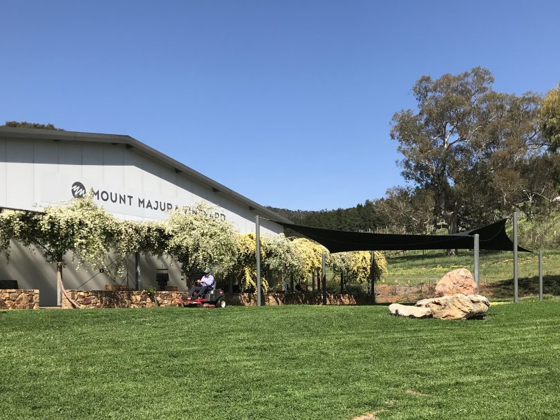 Mount Majura Vineyard