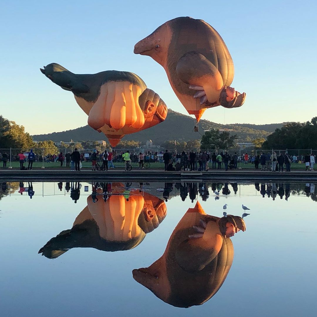 Canberra Balloon Spectacular centrepiece revealed Riotact