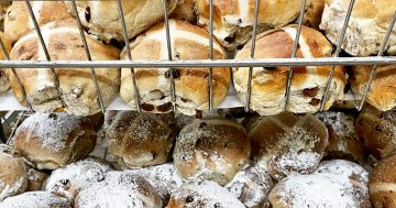 Hot in the City: Canberra’s biggest Hot Cross Buns at family-run Danny’s Bakery