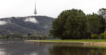 Tunnels under Lake Burley Griffin more like Swiss cheese