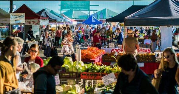 Farmers rejoice with return to thriving demand for markets in Canberra