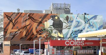 Manuka mural dream set to come alive for talented Canberra artist