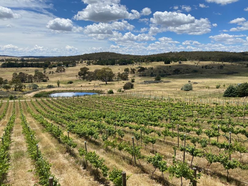 Norton Road Wines in Wamboin