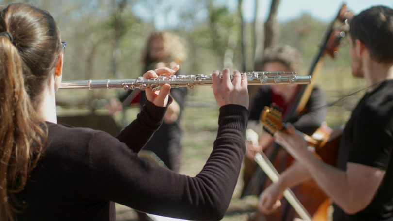 Members of The Griffyn Ensemble performing.