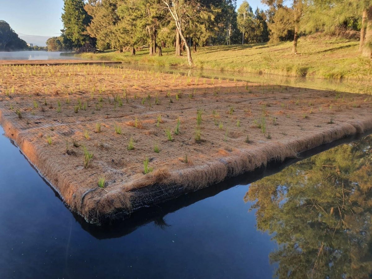 Tuggeranong floating wetland