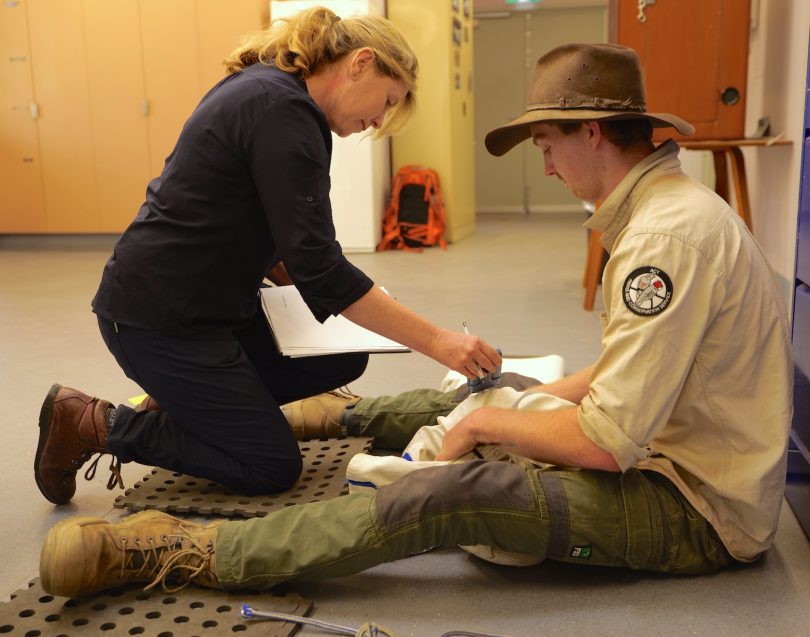 Veterinarian Dr Arianne Lowe doing a health check on a brush-tailed rock-wallaby.