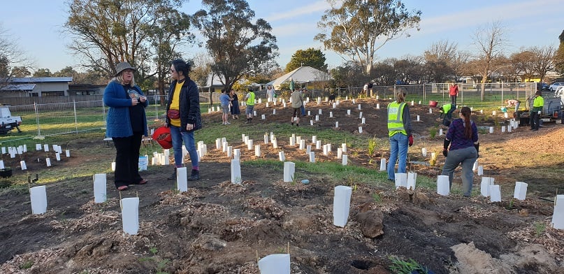 Community members with trees in the ground for the micro-forest at Downer