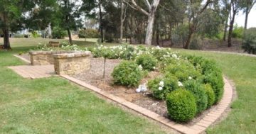 Publicly operated crematorium in Gungahlin to meet needs of growing city