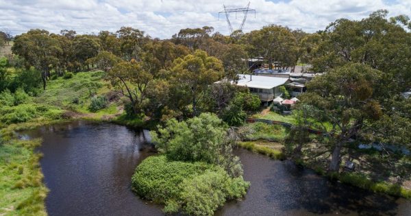 Pet owners say they're locked out of pet cemetery north of Canberra after sale