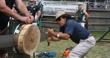 Woodchopping and Devonshire teas add a traditional touch to Yass Show