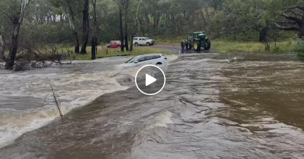 Dramatic rescues and 'disaster tourists' in aftermath of rain deluge