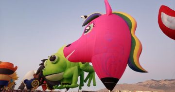 Canberra Balloon Spectacular centrepiece revealed