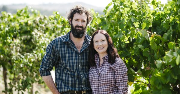 'Temperatures just dropped': Spring cold snap hits region's wineries following hard years