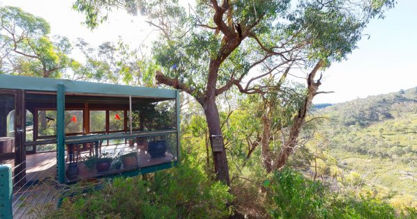 Spectacular treetop getaway holds 40 years of memories