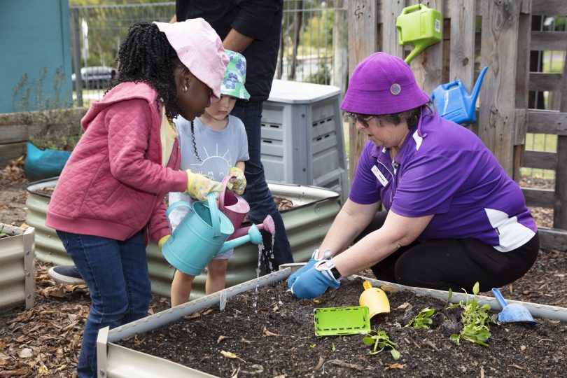 Children watering vegetable garden at WCS Evatt Preschool