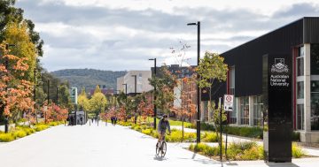 Fed's border and international student announcement welcomed by Barr, ACT unis