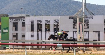 Canberra Racing Club rears at development option without the racetrack