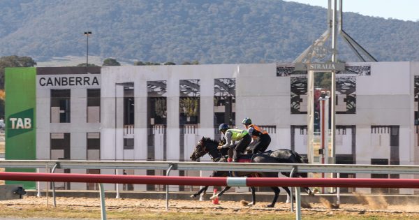 Canberra's horse-racing boss prepares to hand over the reins