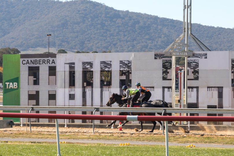 Horse racing at Thoroughbred Park in Canberra