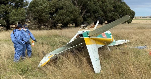 Plane went into spin before crashing nose first, says ATSB report