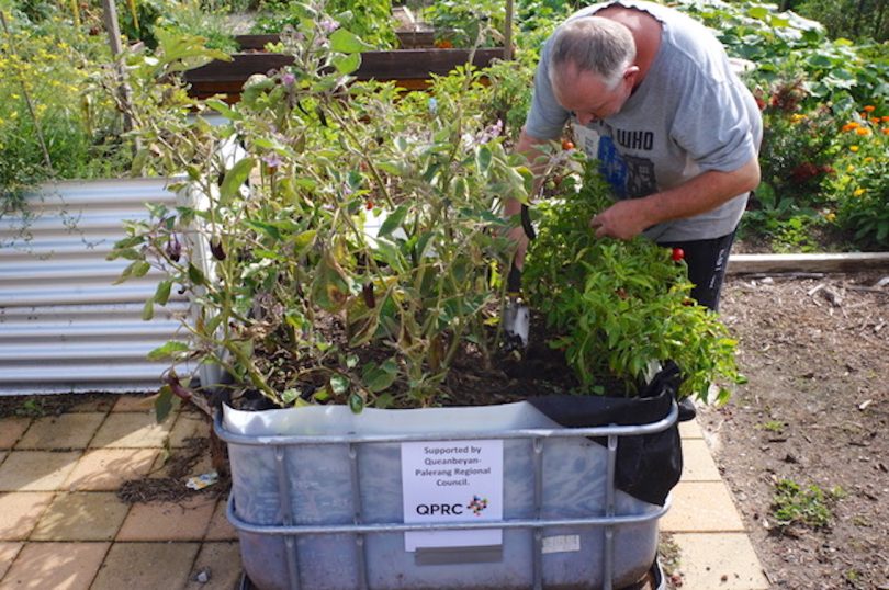 A member of the Queanbeyan Sustainability Group