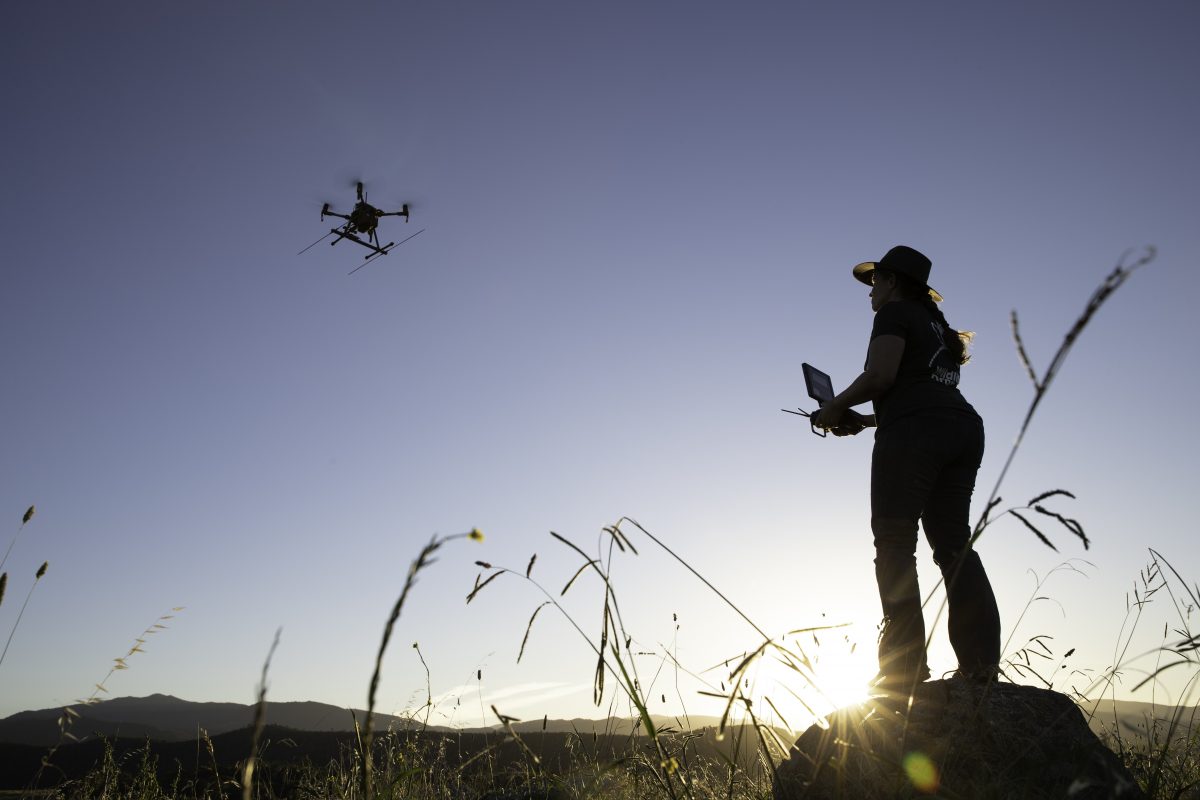 Deb flying the drone at sunset