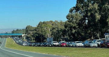 Probing the polls: Summernats spats and pressure on a growing Canberra