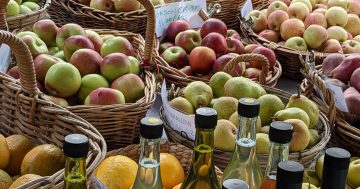 Harvest festivals (and wicking beds) take regional produce to next level