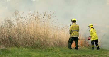 Bushfire operations plan released in wake of questions around ACT's preparedness