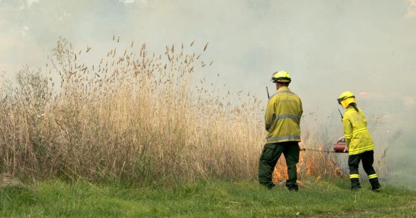 Climate change narrowing the windows of opportunity to conduct hazard reduction burns in the ACT