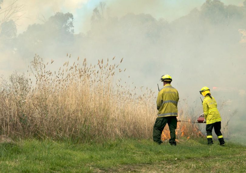 Firefighters undertaking a prescribed hazard reduction burn in Canberra