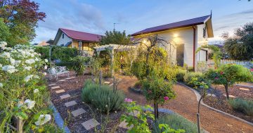 Rambling garden cottage a rare offering on the city fringe