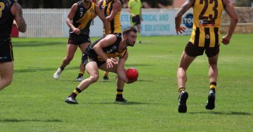 Tigers eye back-to-back titles ahead of big AFL Canberra season