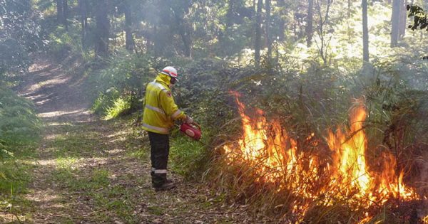 Hazard reduction burns underway in Kosciuszko, Bournda and Biamanga national parks