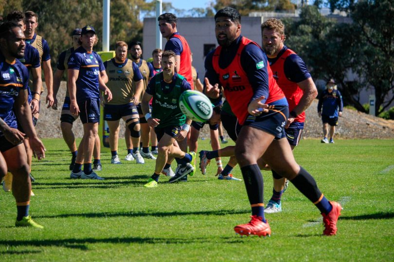 Brumbies in training