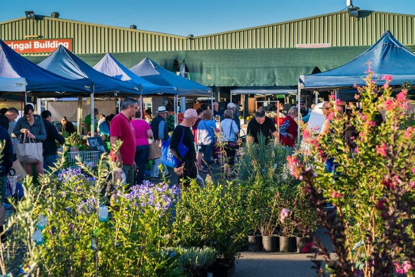 Capital Region Farmers Markets